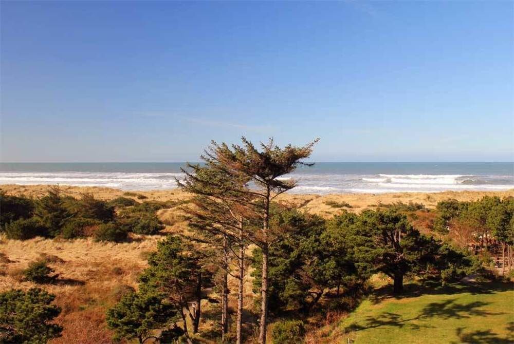 Gold Beach Inn Dış mekan fotoğraf